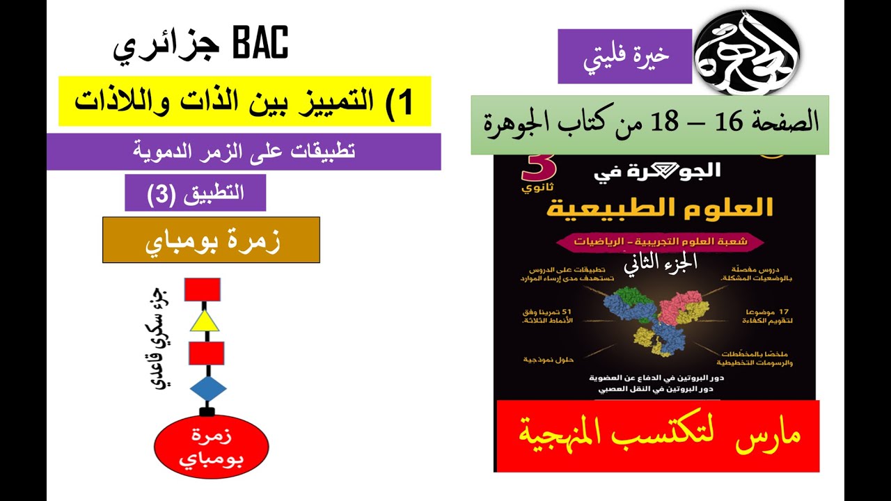 حل التطبيق 3 حول زمرة بومباي