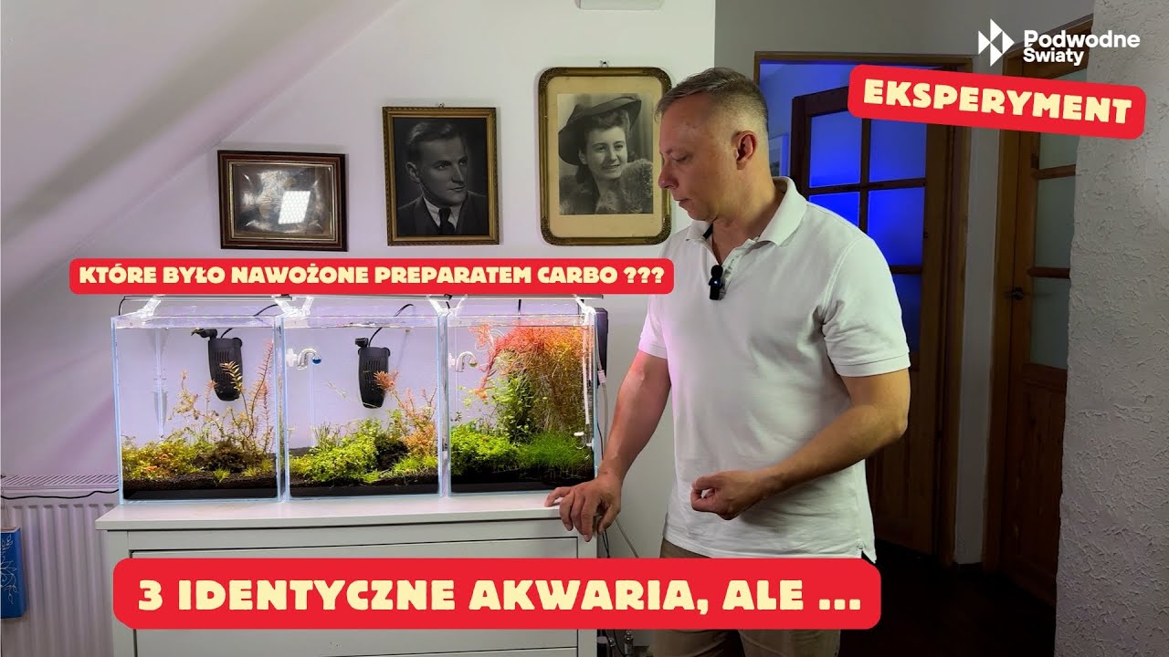 Eksperyment. 3 identyczne akwaria. Które było nawożone preparatem carbo ???