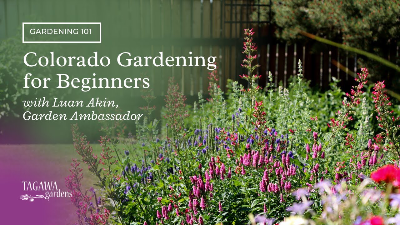 Colorado Gardening for Beginners by Tagawa Gardens