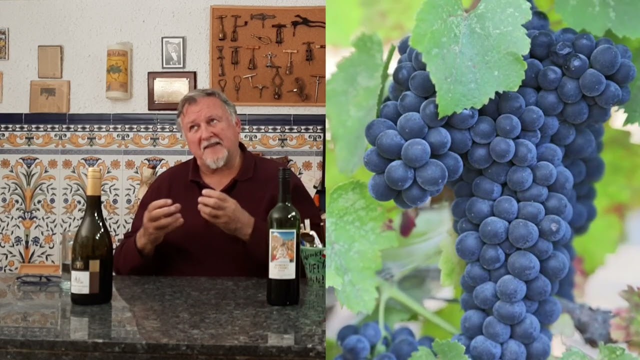 118 - Diferencias entre un vino de merlot, y otro de cabernet sauvignon