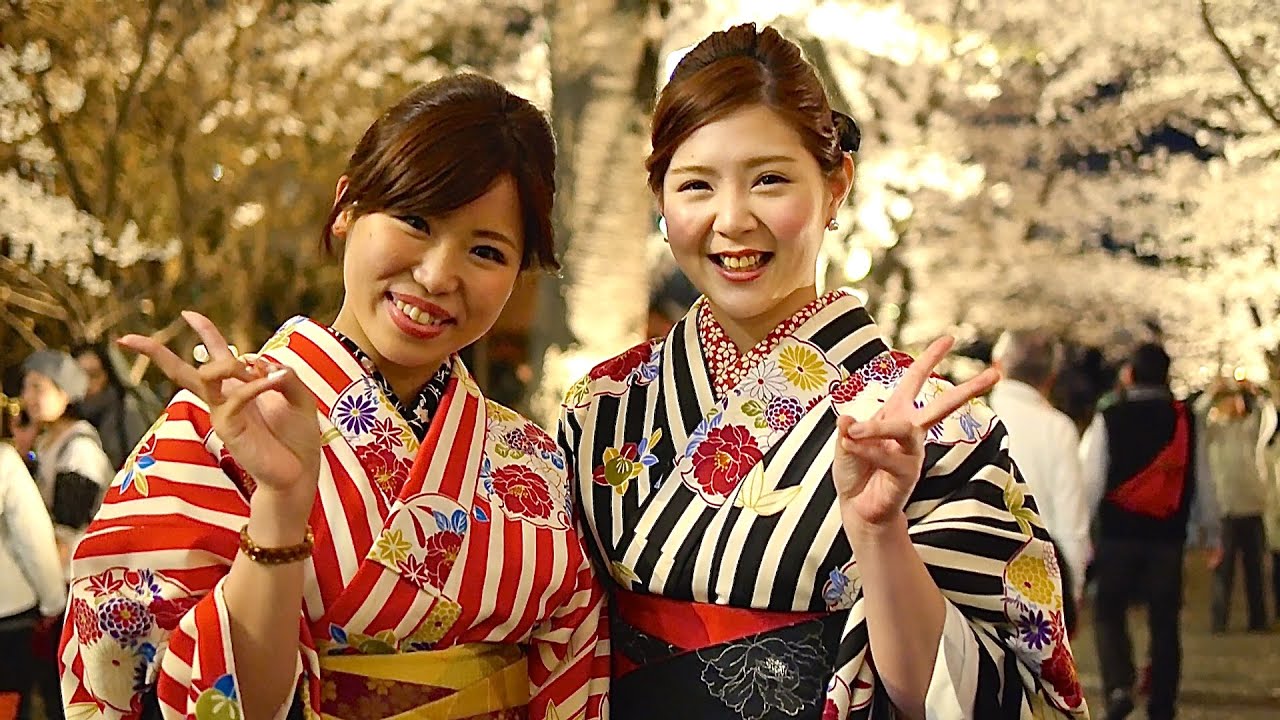 お花見 京都の桜 着物美人 夜桜見物 京都観光 Moments in Kyoto - Ohanami | Cherry Blossom Viewing Kyoto Japan