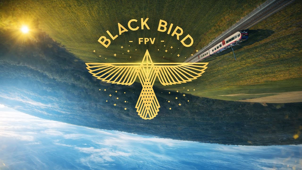 BLACK BIRD FPV - FPV FREESTYLE - Thumbs ERROR ( its COLD ) 🥶🥶🥶