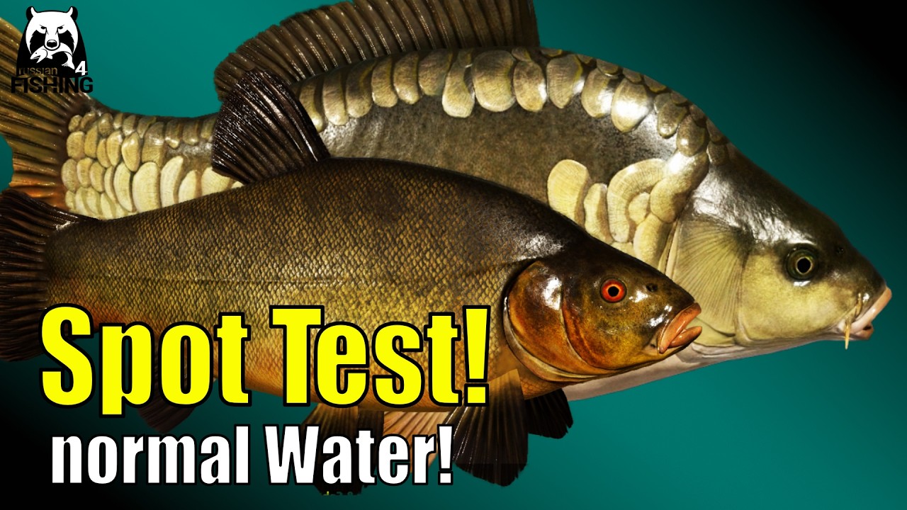 Russian Fishing 4 – Copper Lake – Corn Only! Very Simple with Pop-Up Rigs #rf4