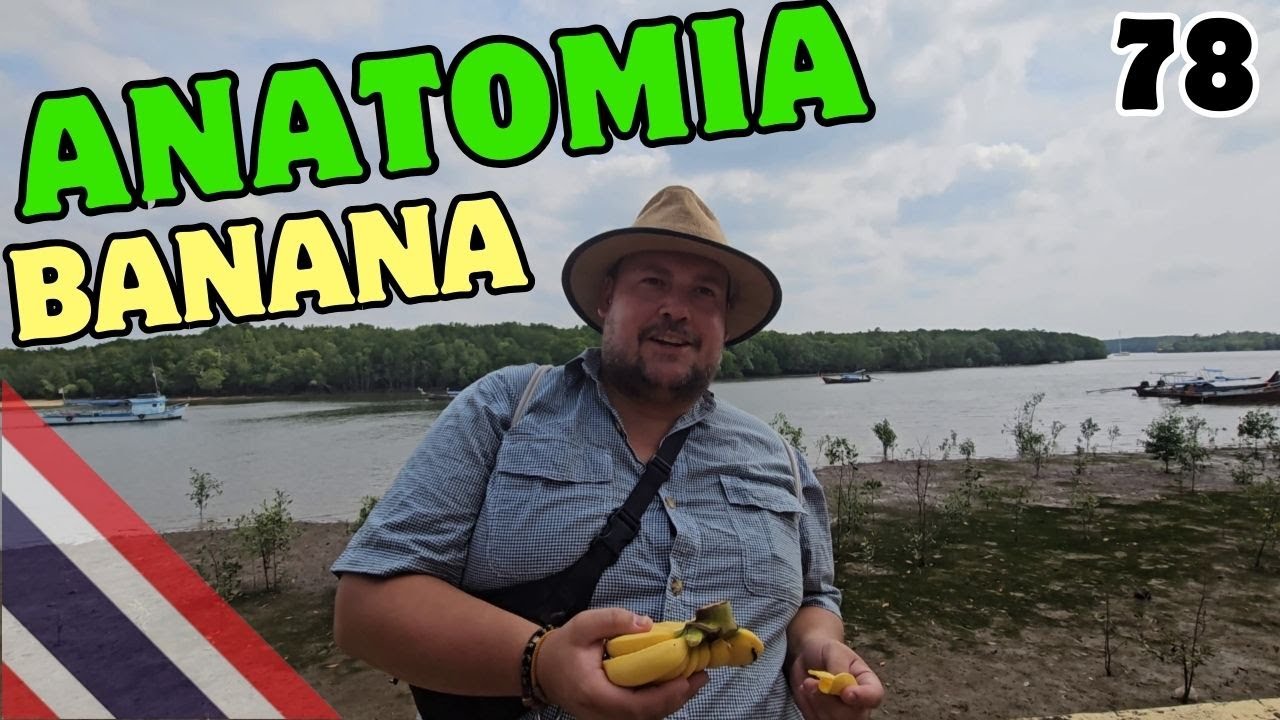 78. W Mieście Krabi jest Nudno, uciekamy do Ao Nang // Tajlandia