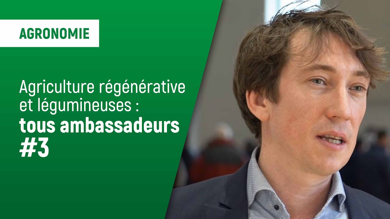 L&eacute;gumineuses et agriculture r&eacute;g&eacute;n&eacute;rative, tous ambassadeurs ! | Ax&eacute;r&eacute;al