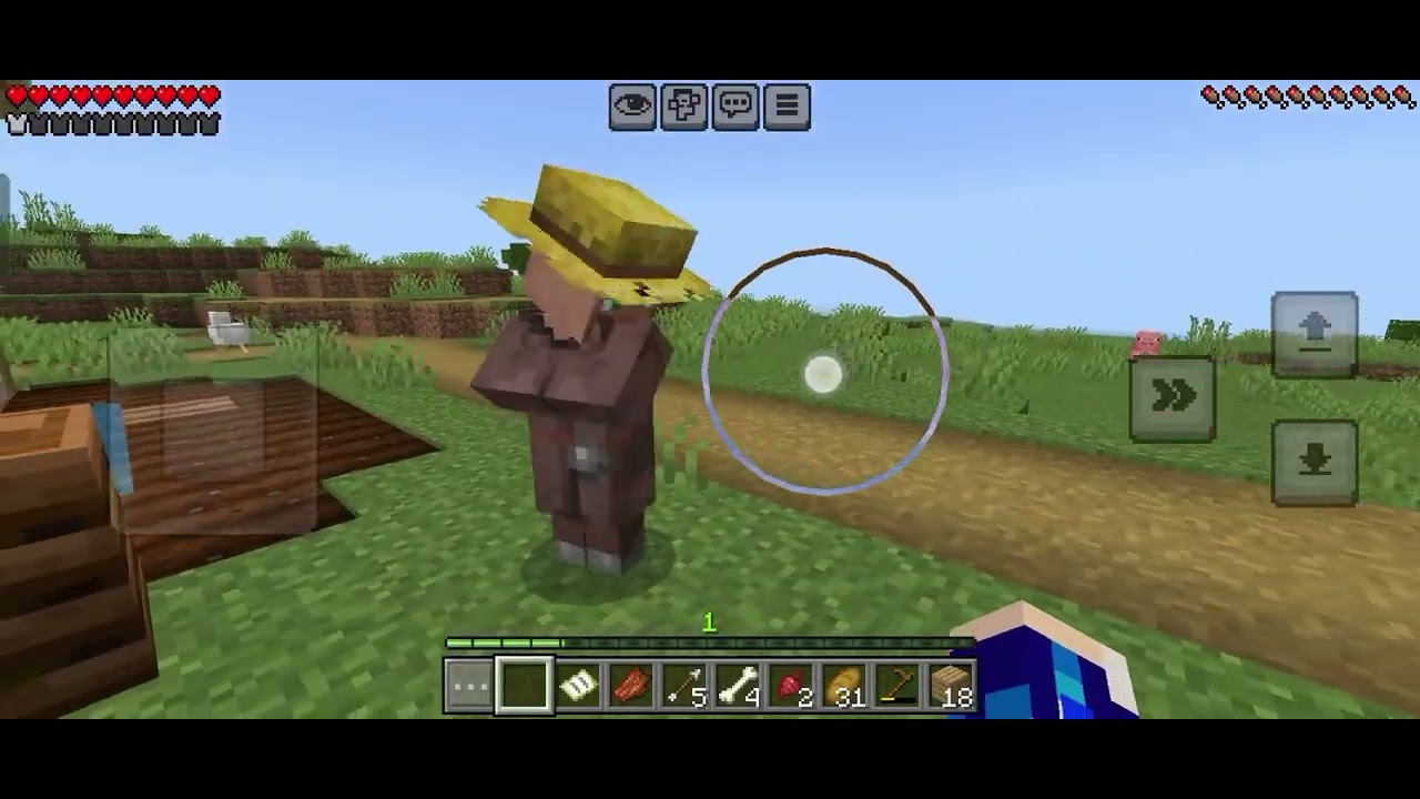 Today we make a farm in Minecraft Survival series 
