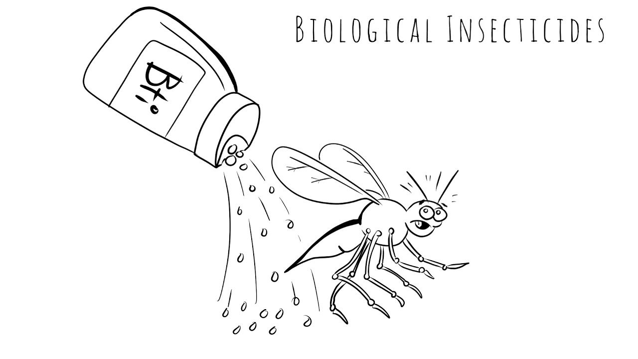 ARBICO Organics- How to Combat Fungus Gnats.