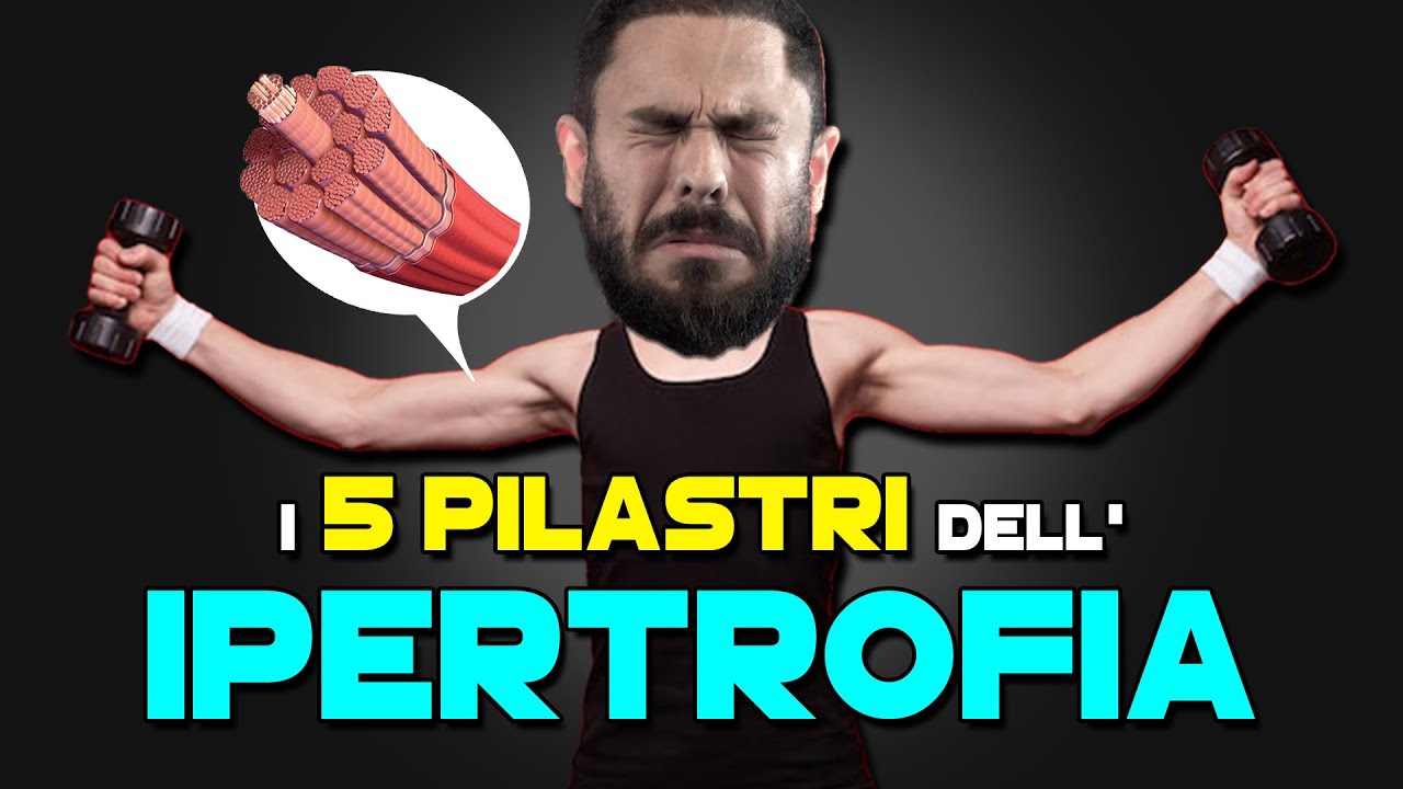 Ecco il perché non riesci a mettere muscoli | i 5 pilastri dell’ipertrofia