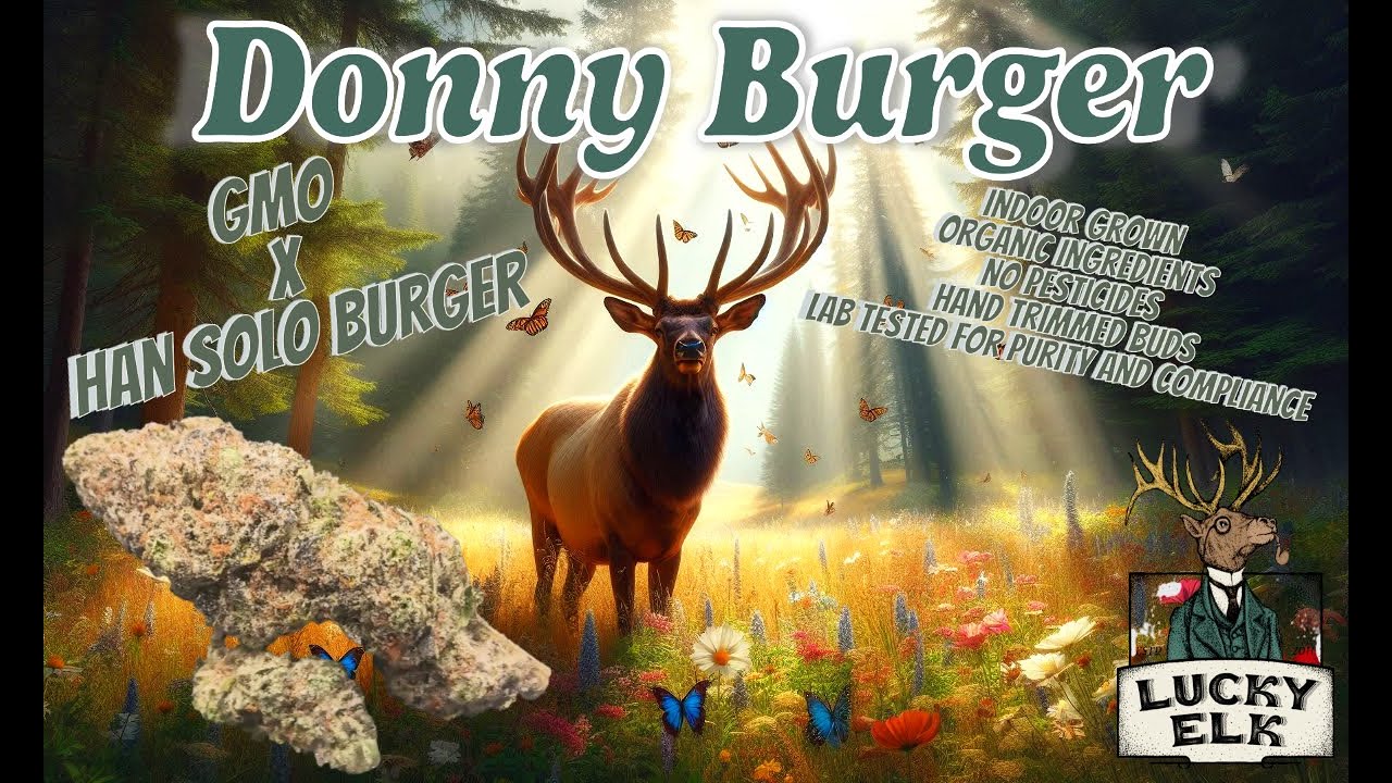 Пробую Lucky Elk Donnie Burger THCa Flower &mdash; я нашла свой новый фаворит!