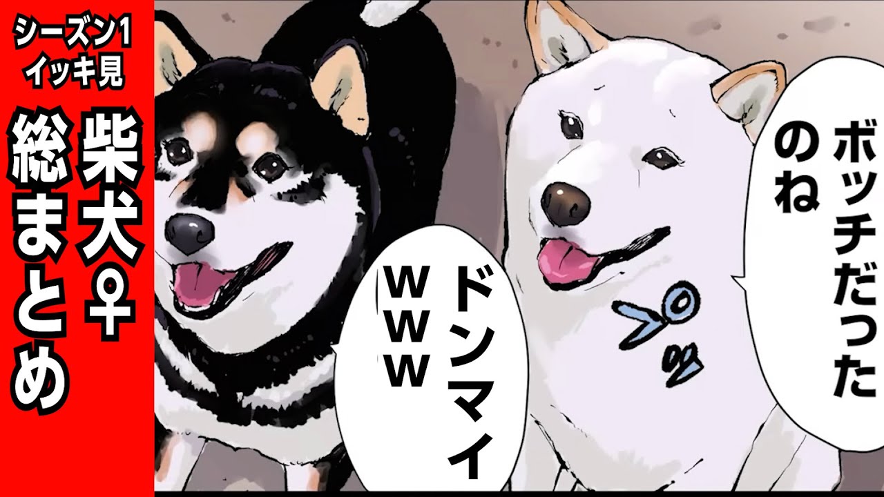 【シーズン１総まとめ】白雪さん＆かぐやちゃんイッキ見！【世界の終わりに柴犬と】