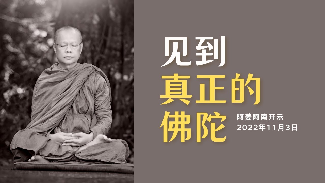 见到真正的佛陀｜阿姜阿南开示. 翻译中文版 | 2022年11月3日