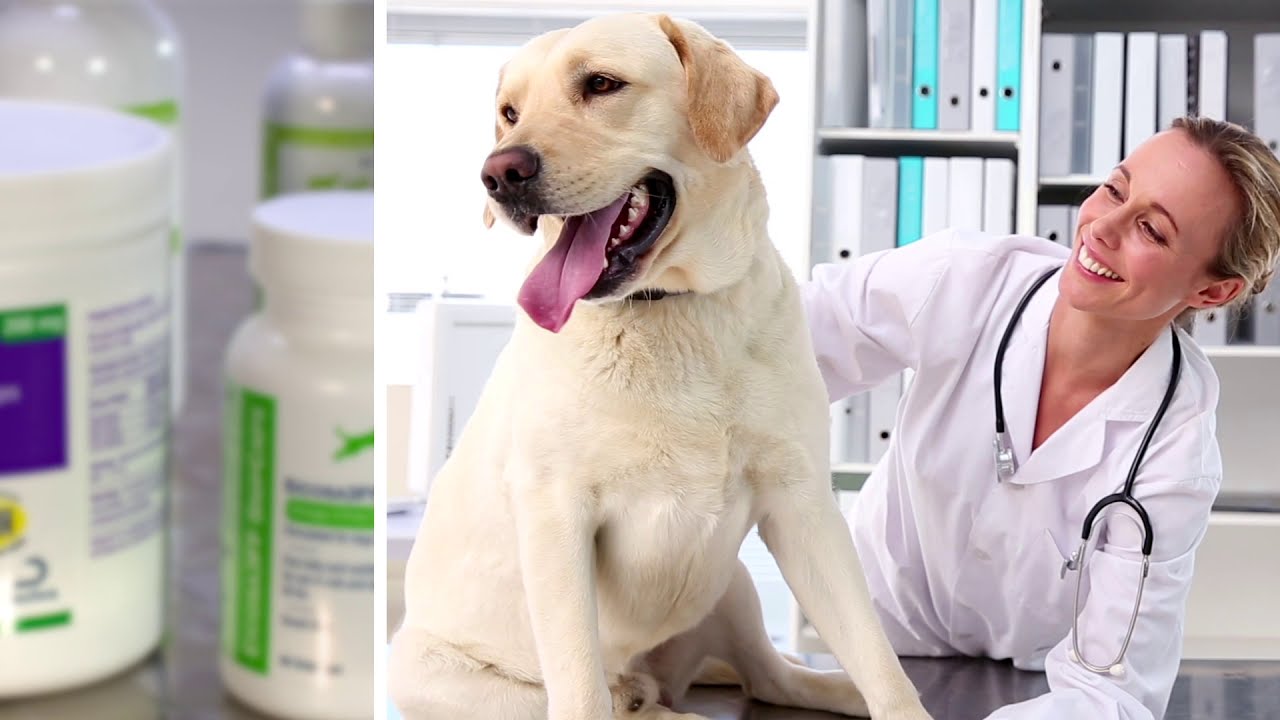 Dechra Veterinary Products