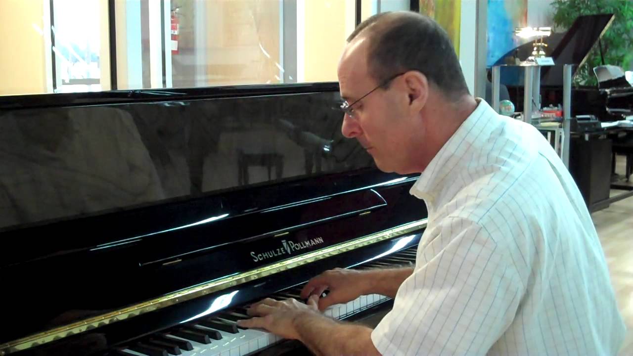 Schulze Pollmann 118