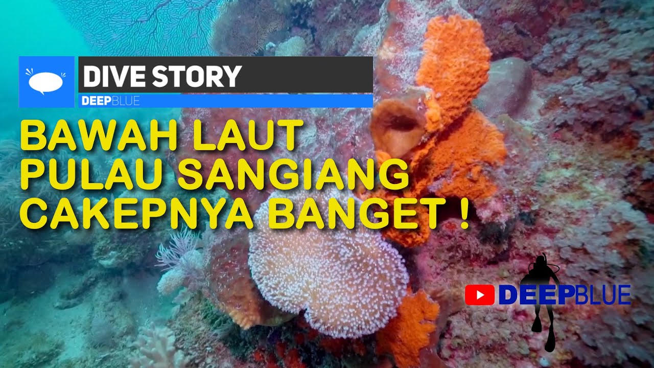 DIVING DI PULAU SANGIANG, DEKAT JAKARTA & CAKEP BANGET !