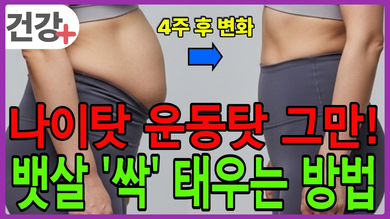 뱃살 다이어트 운동해도 안 빠지는 진짜 이유, 탓하며 살아온 현실을 파괴하세요.