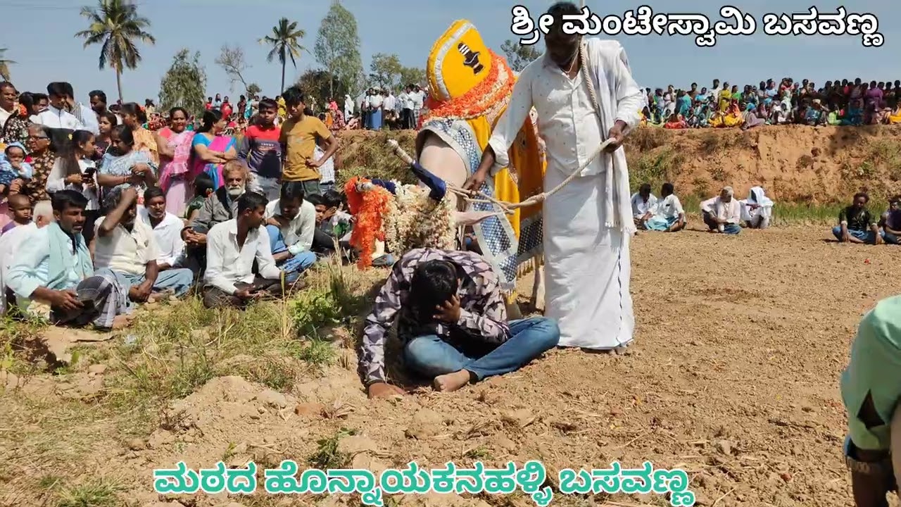 🙏💐ಮಾರಮ್ಮನ ದೇವಸ್ಥಾನಕ್ಕೆ ಗುಡ್ಡನ ಪಡೆಯುವುದು ಸ್ಥಳ ಕುಂತನಹಳ್ಳಿ ತಿ ನರಸೀಪುರ ತಾಲ್ಲೂಕಿನ 🌹💐