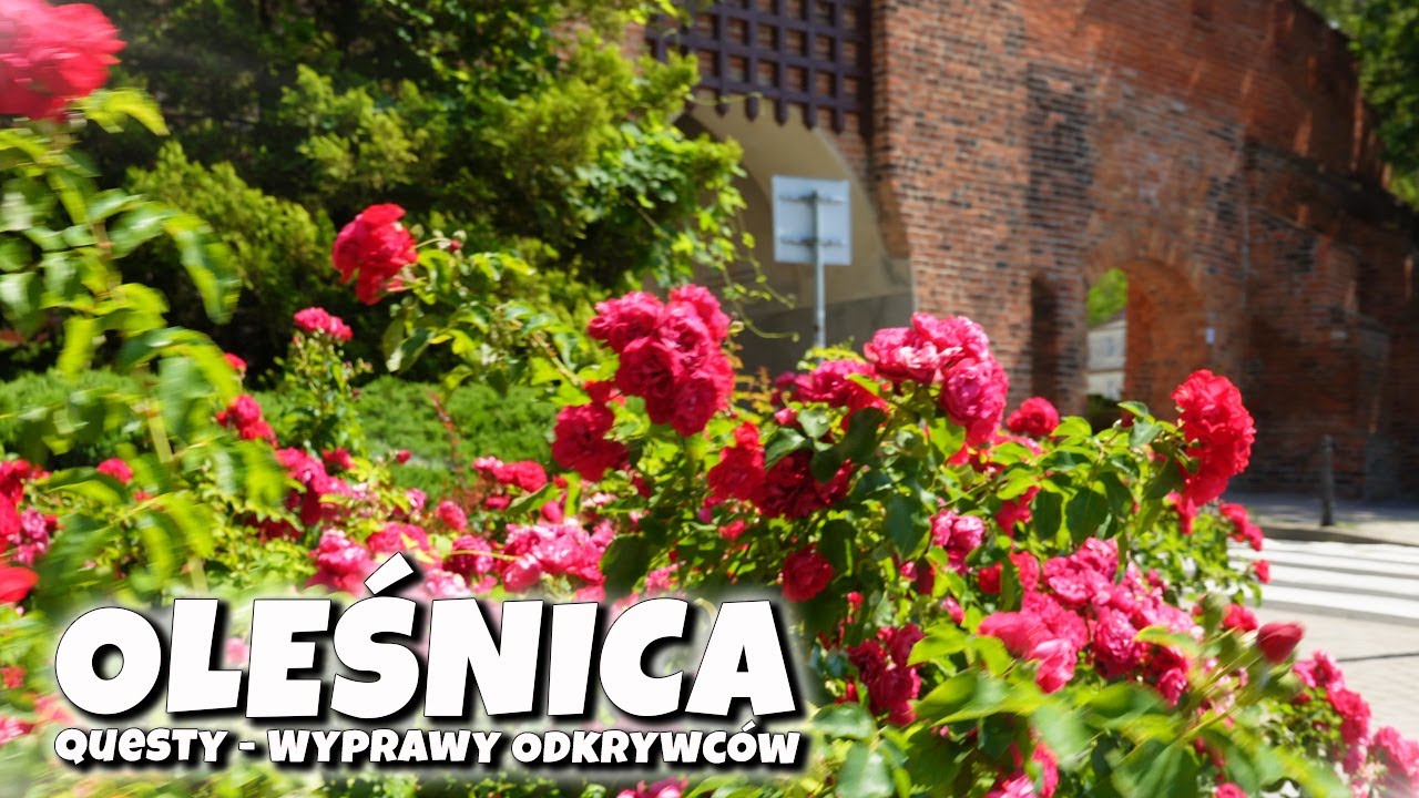OLEŚNICKA wyprawa z RÓŻAMI 💖 Questy Wyprawy Odkrywców | PL