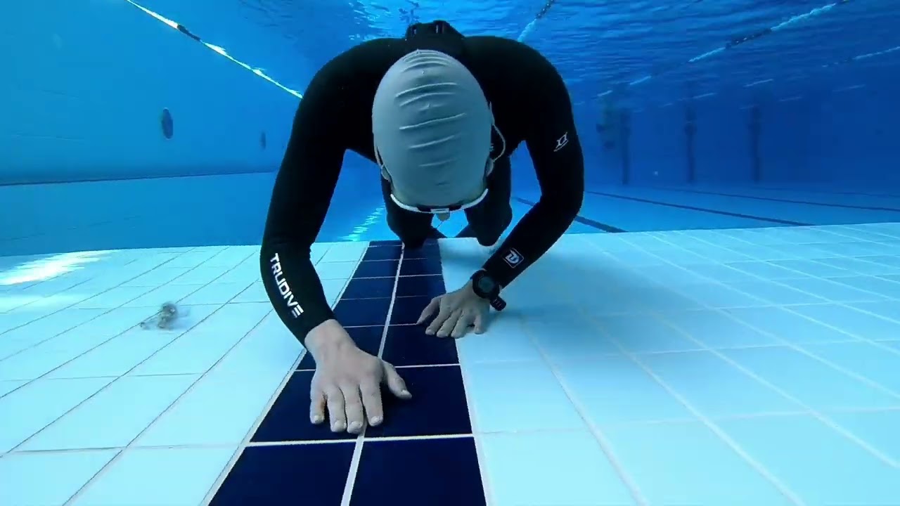 6 minutes turtle crawl (4X SPEED)