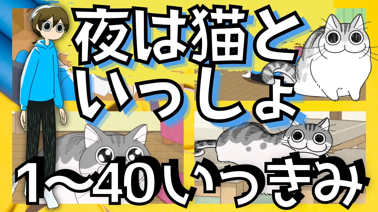 1夜～40夜まとめ：夜は猫といっしょ【キュルガ切り抜き（字幕付）】