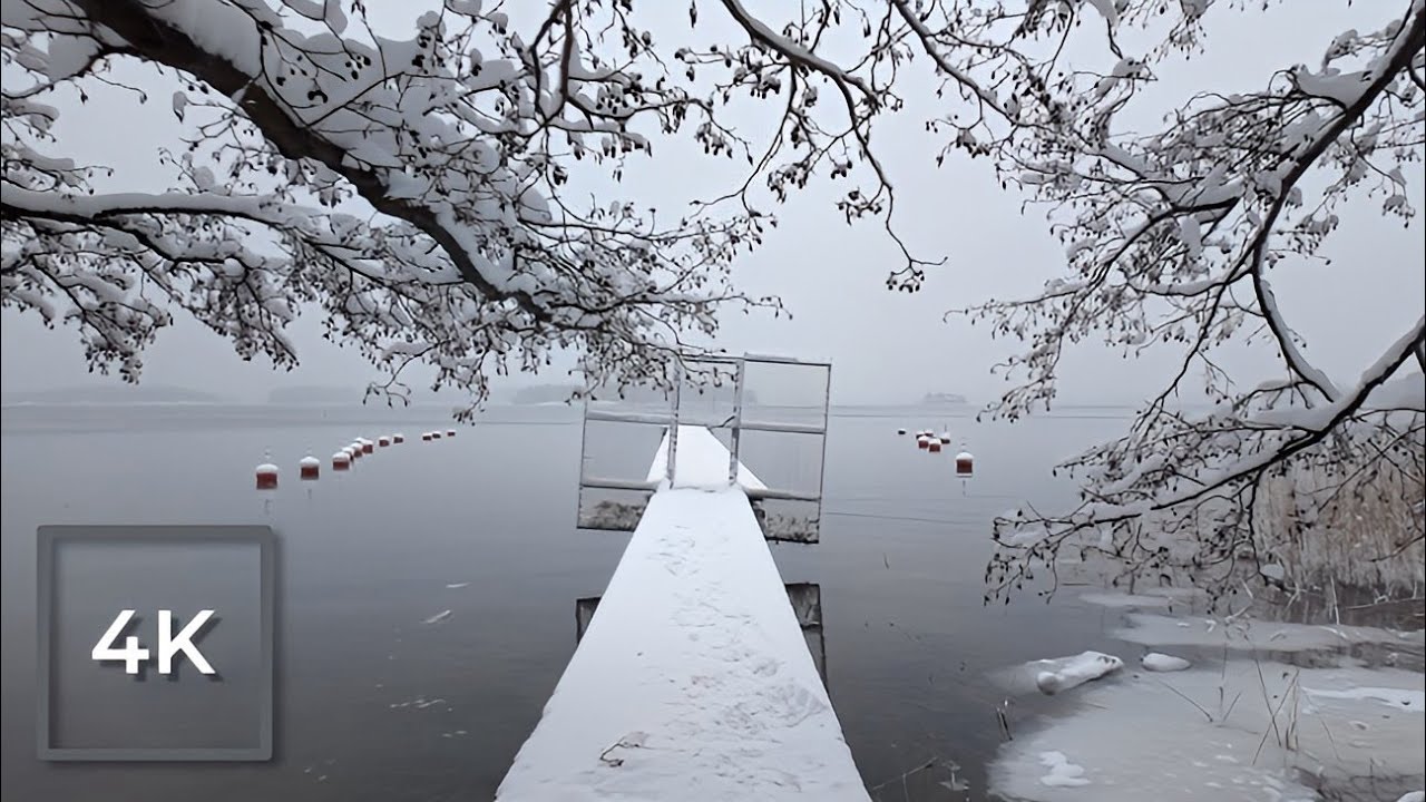 Snowy Coastal Walk in Finland | Forest & Beach in Winter | Ambient 4K Walking Tour