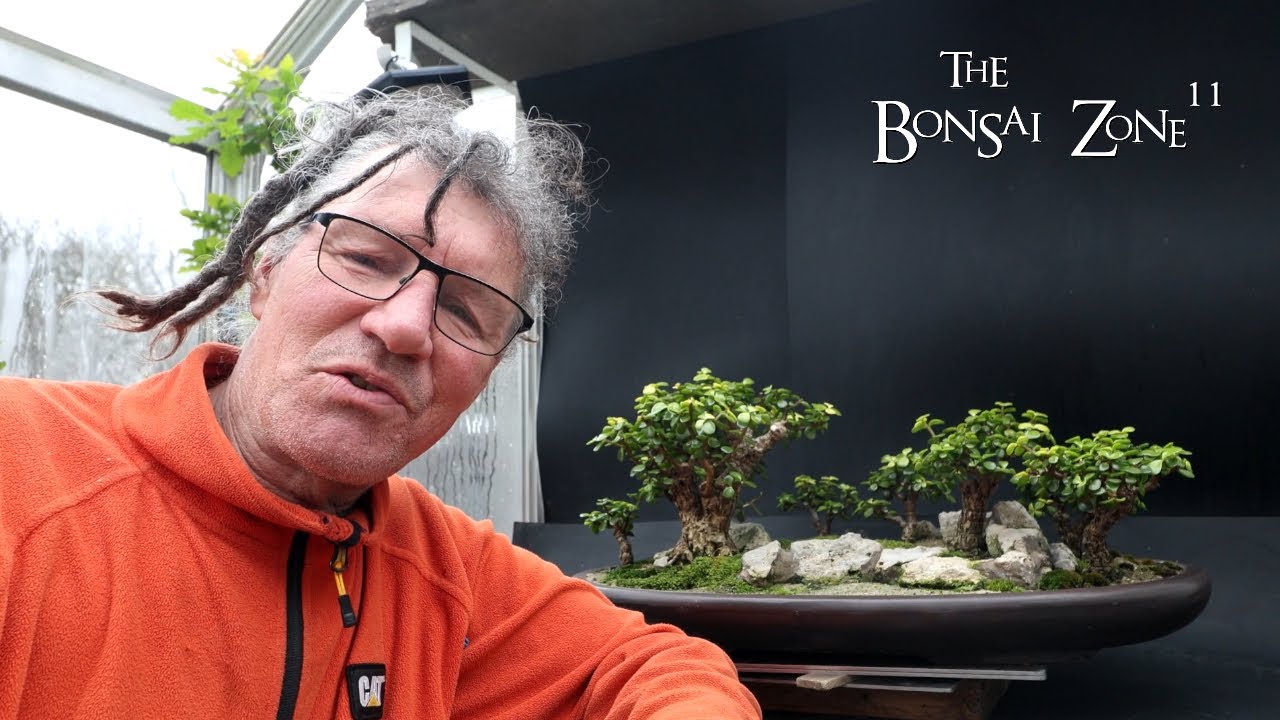 Bonsai Goals and Objectives, The Bonsai Zone, April 2024