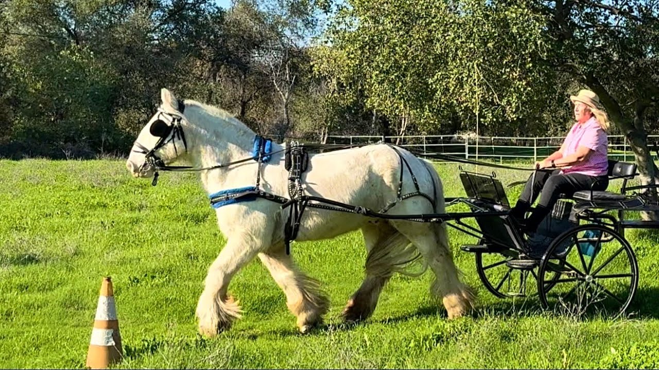 Branson Gets Practice in the Arena￼ and a 1st Time Jaunt on the Driving Range