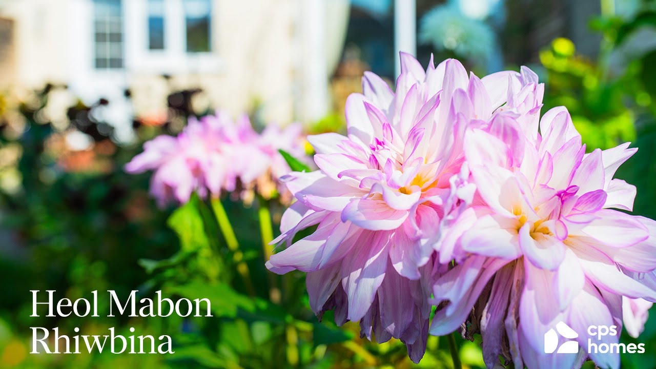 Heol Mabon, Rhiwbina | Cardiff | Property Video Tour