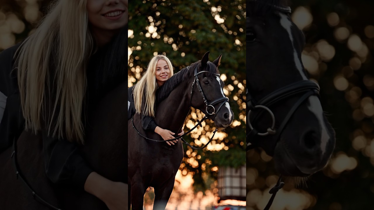 #dressurpferd #equstrian #horse #pferde #horseriding #fyp