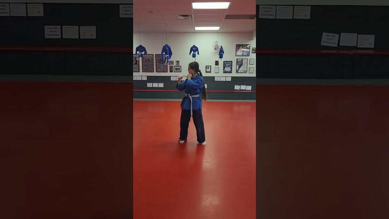 American Kickboxing Combinations 1-5