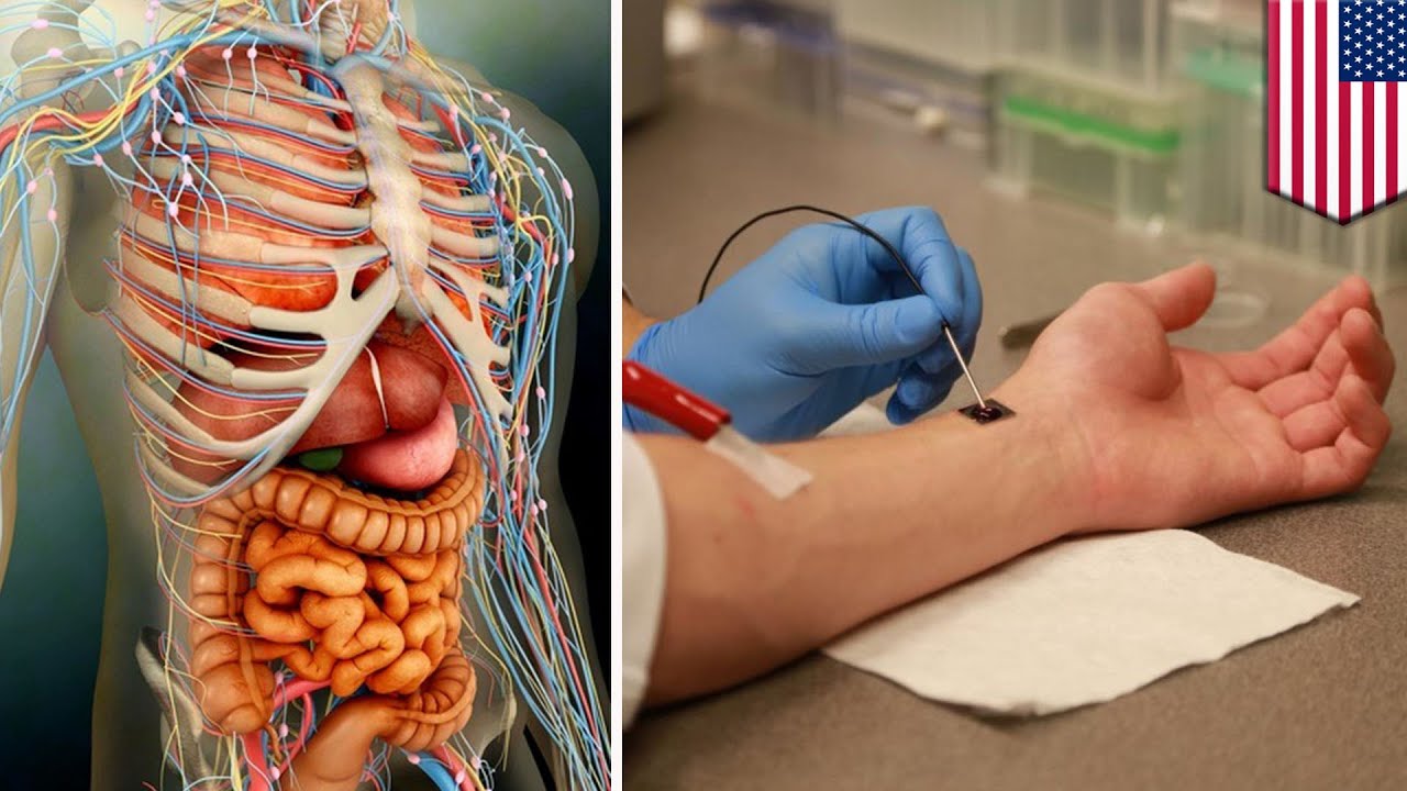 Cell regeneration: Nanochip can regrow organs, heal injuries with just one touch - TomoNews