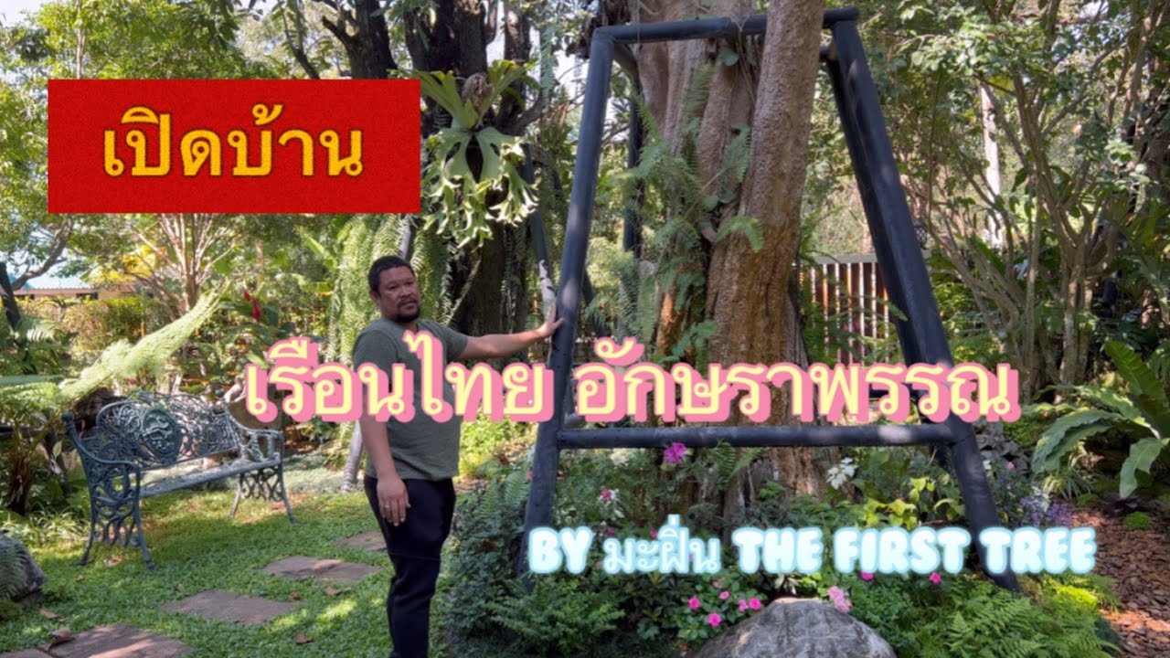 เปิดบ้าน ไม้ขุดล้อมใช้จัดสวนบ้านเรือนไทยอักษราพรรณ @เขาใหญ่