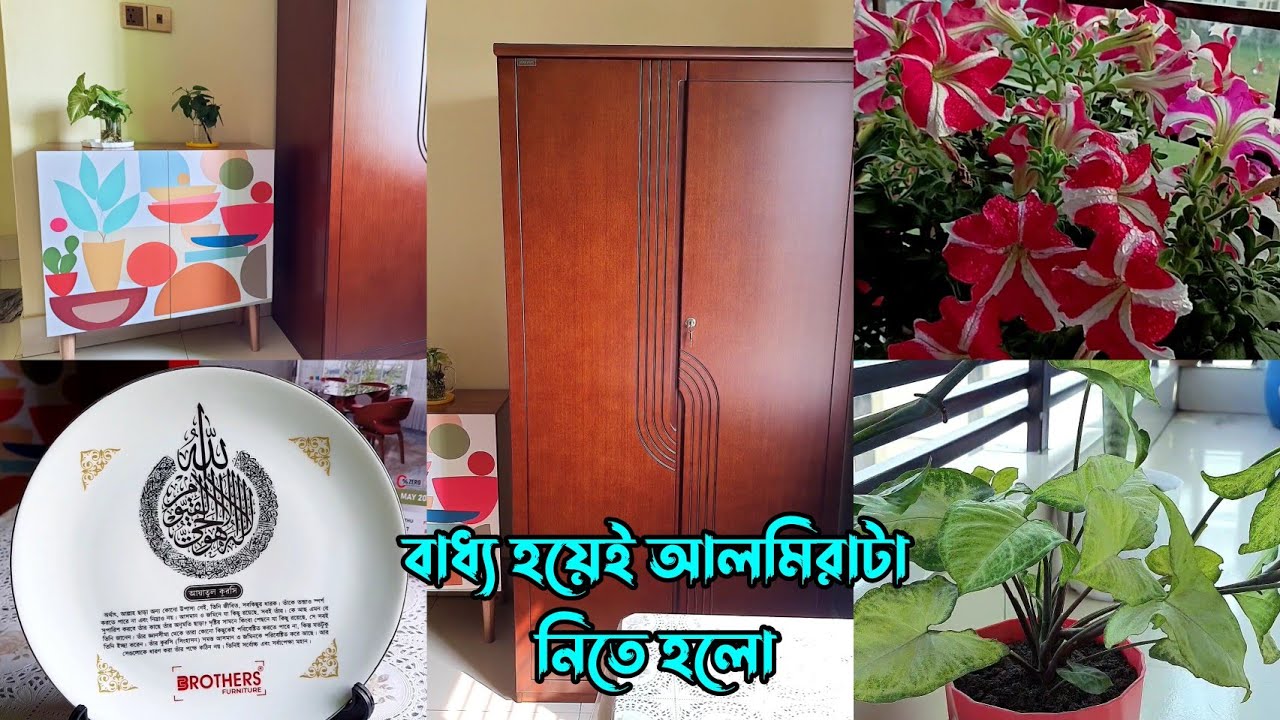অবশেষে একপ্রকার বাধ্য হয়েই ব্রাদার্সের আলমিরাটা নিতে হলো 😥