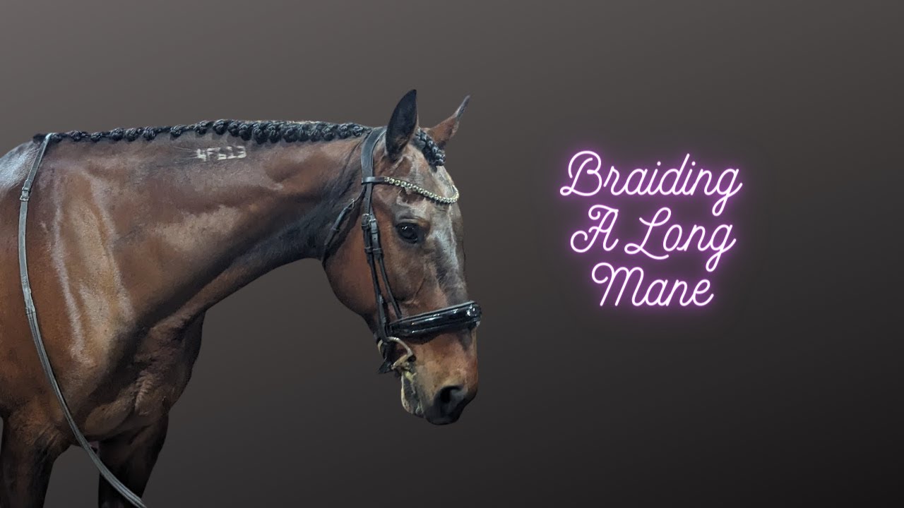 Braiding a long mane