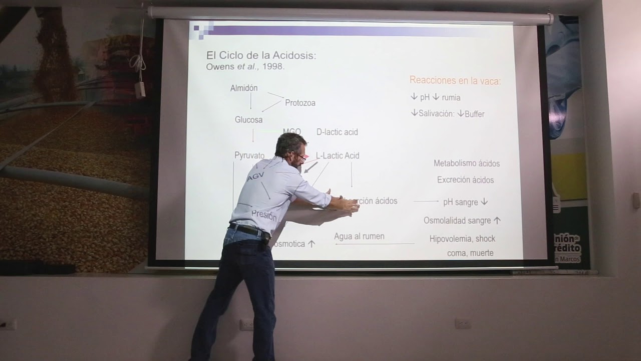 ACIDOSIS RUMINAL