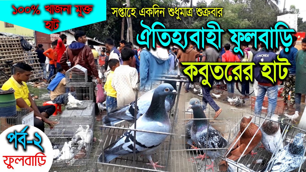 খুলনার ফুলবাড়িগেট এর ঐতিহ্যবাহী কবুতরের হাট (পর্ব-২)।। Fulbari Gate Pigeon Market