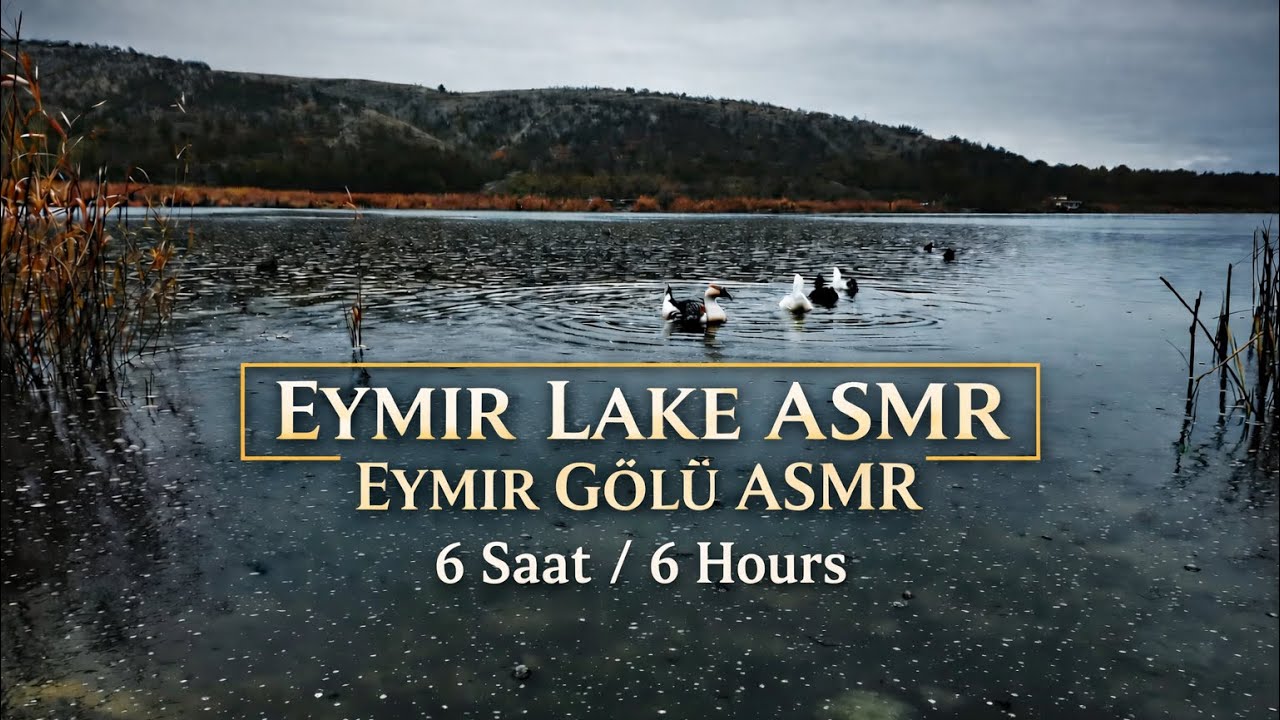 Eymir Gölü ASMR | 6 Saat Doğa Sesleri, Ördekler ve Su Ambience | Sleep & Relax