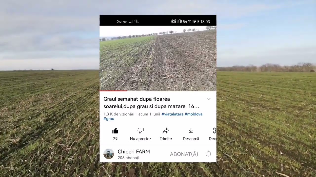 Starea Graului la data 12.12.22