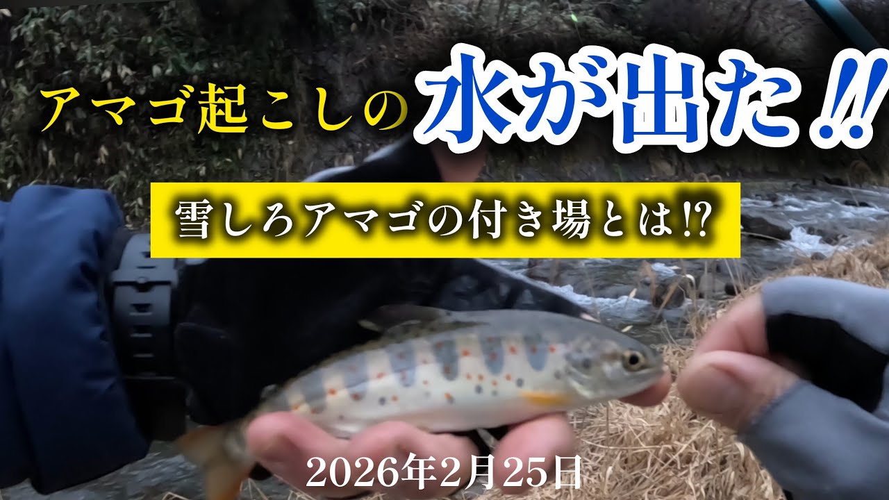 アマゴ起こしの水が出た‼️雪しろアマゴの付き場とは⁉️2026年2月25日
