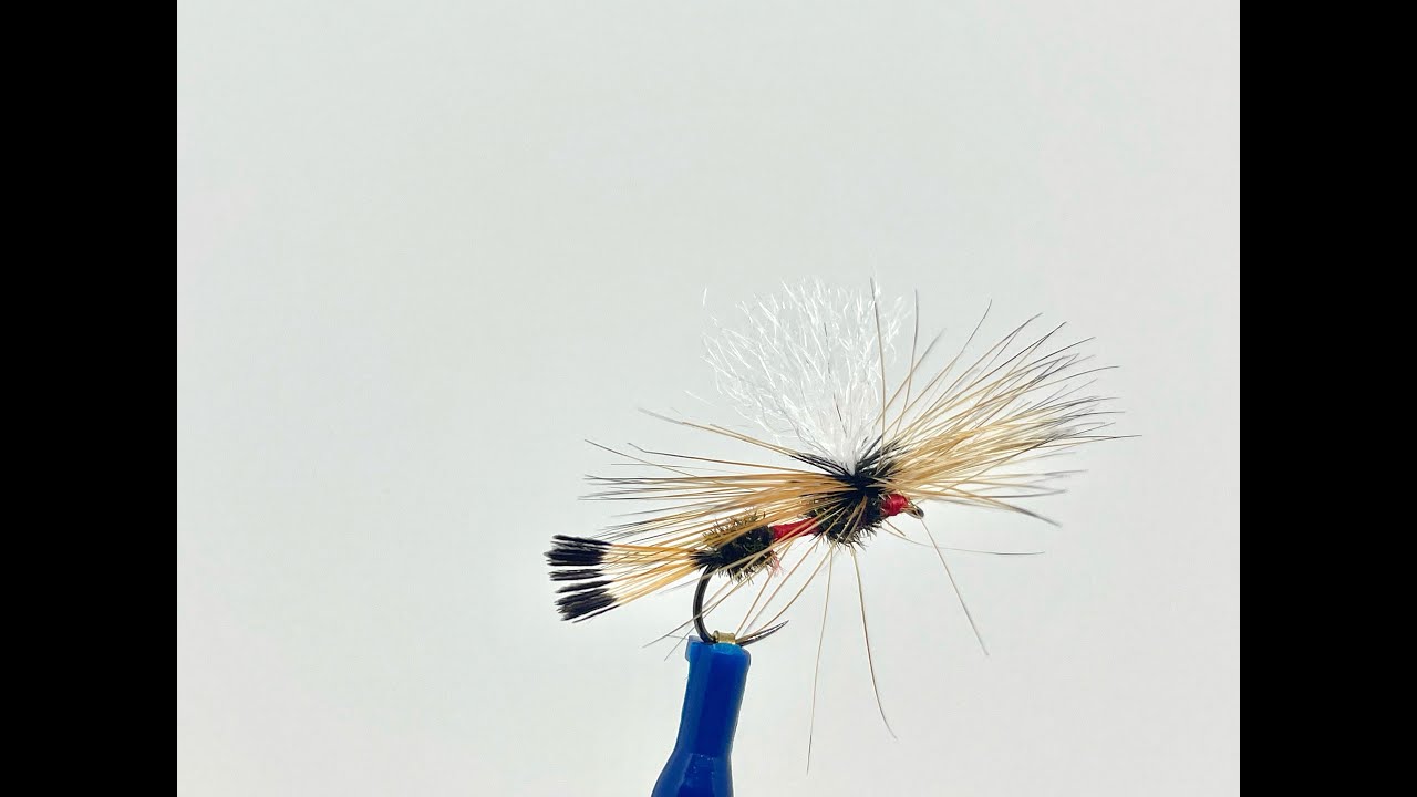 Fly tying con Osvaldo Gilli, Royal Coachman parachute