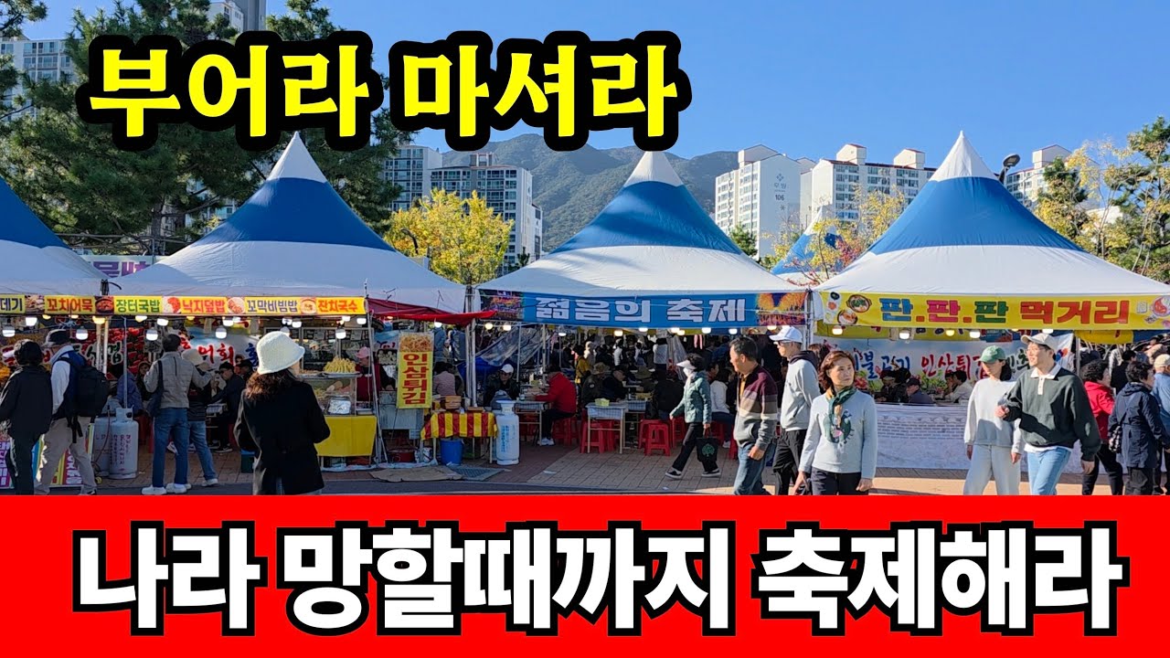 축제에 세금 날리고 망해가는 대한민국