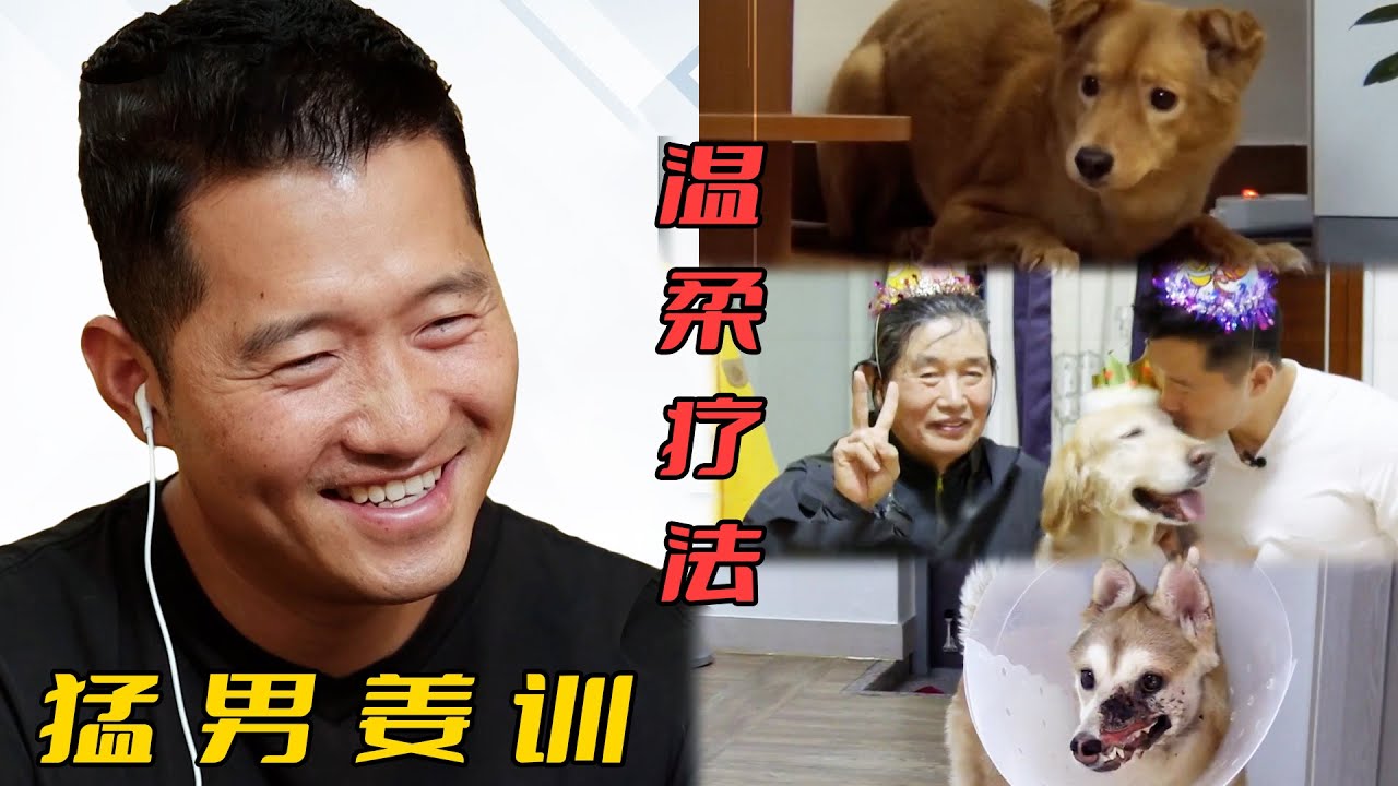 【合集】暴力不能解決一切，訓狗要靠科學，堅持訓練才有成效