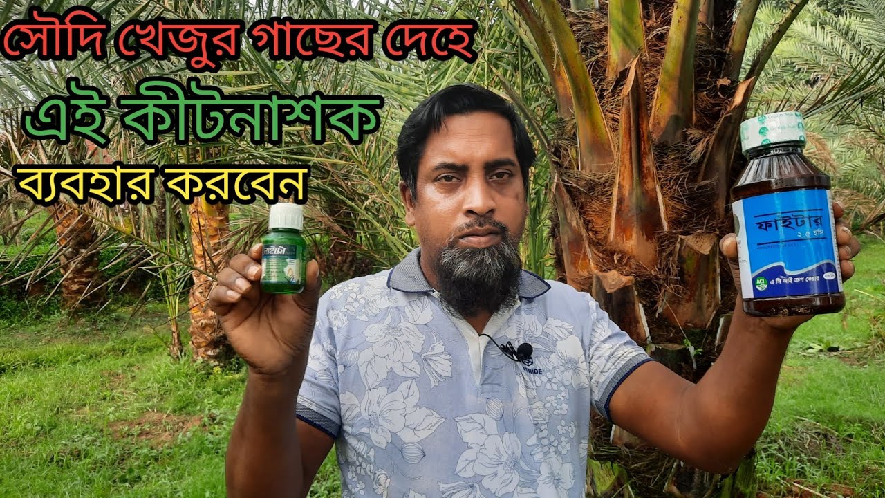 বাংলাদেশে সৌদি খেজুর চাষ পদ্ধতি/বিটল পোকা ও গন্ডার পোকা থেকে রক্ষা করার জন্য যে কীটনাশক স্প্রে করবেন