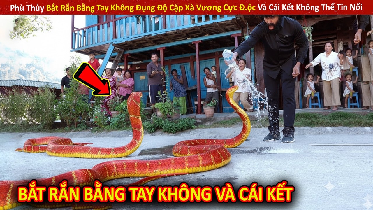 Phù Thủy Bắt Rắn Bằng Tay Không Đụng Độ Cặp Xà Vương Cực Đ.ộc Và Cái Kết Không Thể Tin Nổi