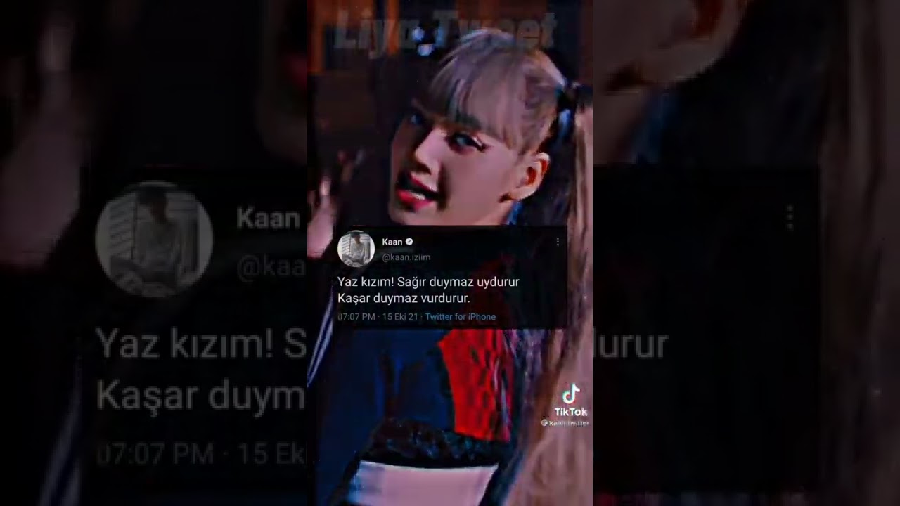 Tiktok Tweet Akımı #4