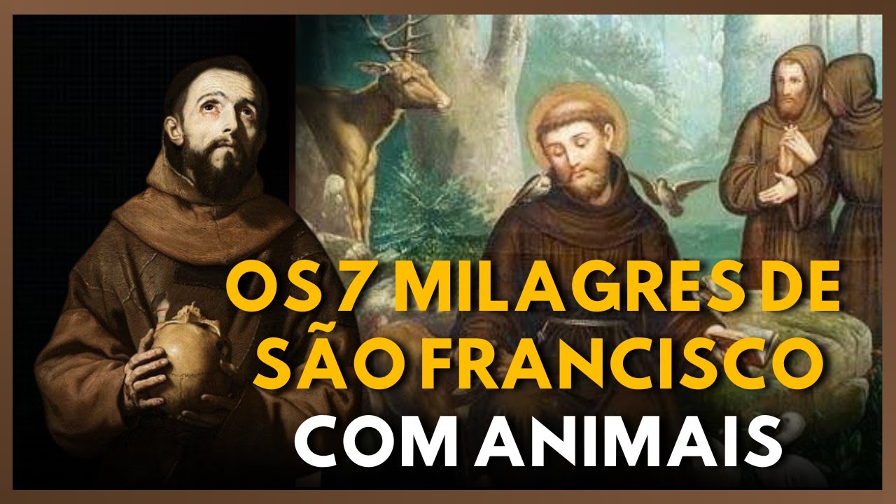 SÃO FRANCISCO E OS ANIMAIS: OS 7 MILAGRES QUE DESAFIAM QUALQUER EXPLICAÇÃO