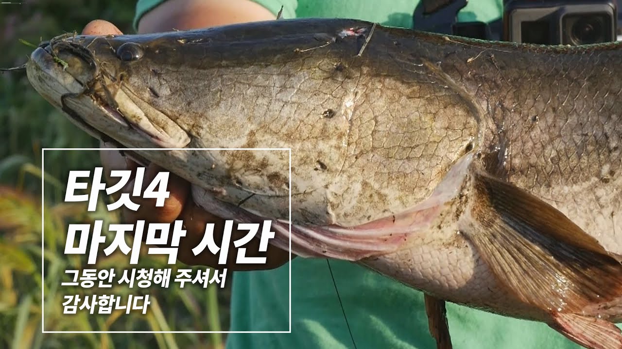 [타깃4] 63회_타깃4 마지막 시간.. 그동안 시청해 주셔서 감사합니다