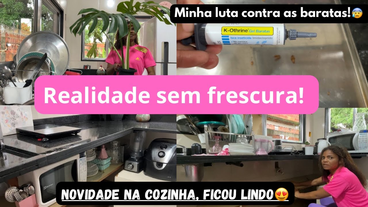 Organização da cozinha + falando verdades | Minha luta contra baratas | Dona de casa sem frescura 