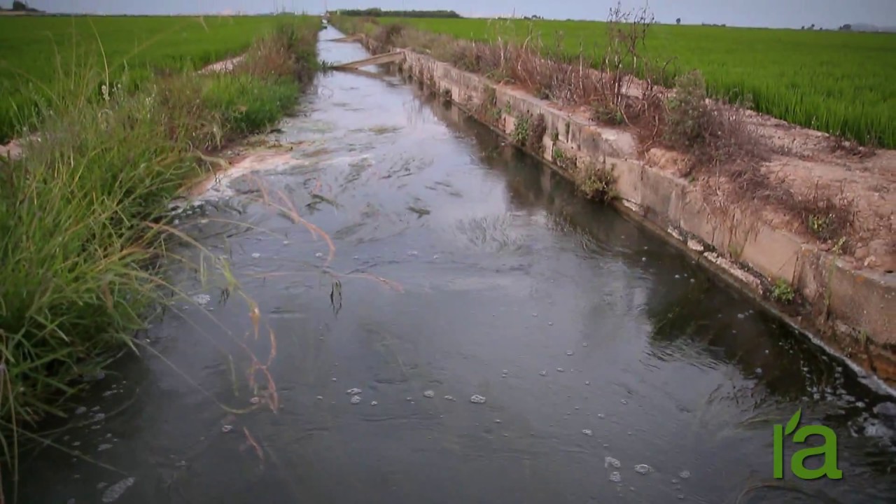 Albufera de Valéncia   (English)