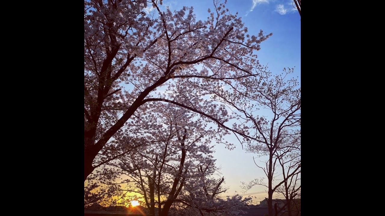 はじめまして