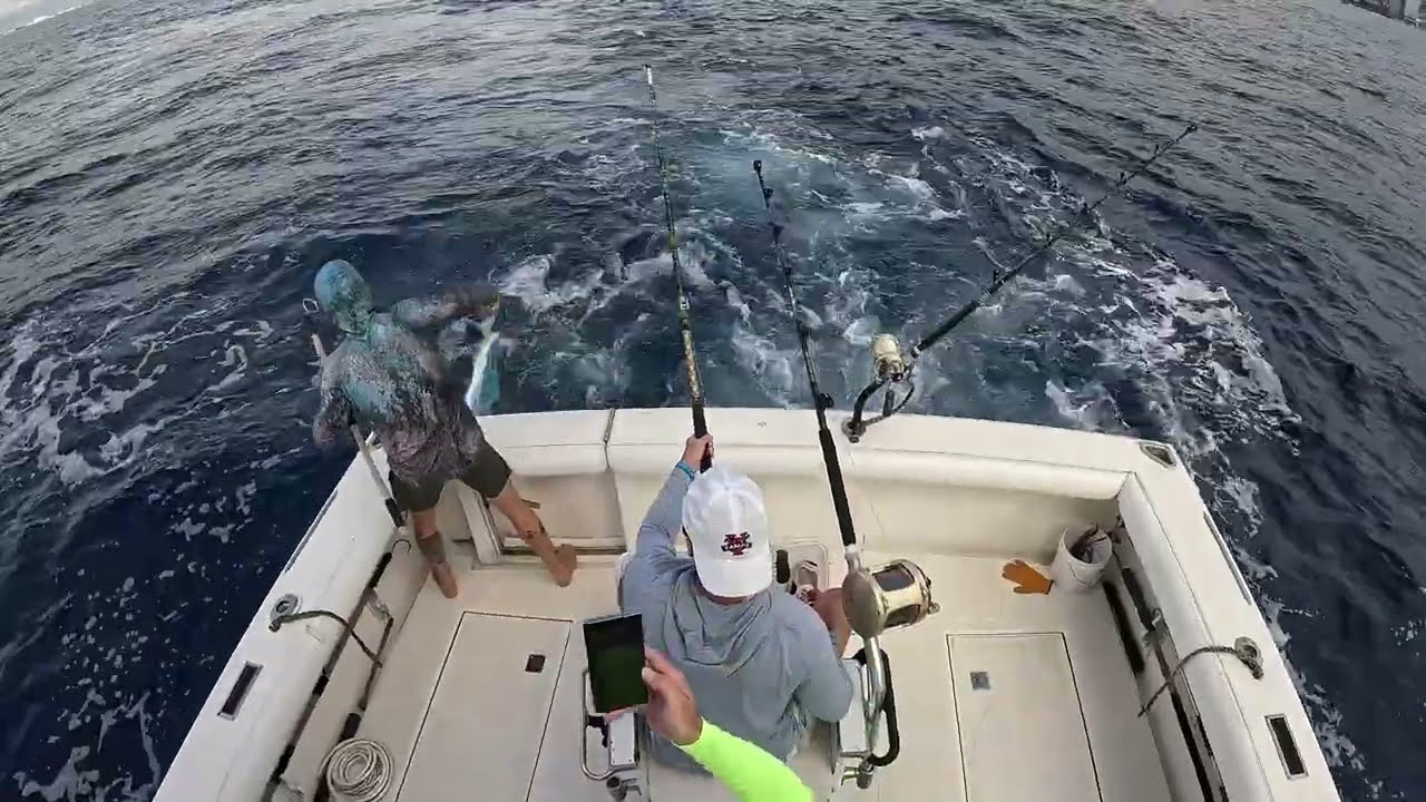 Whipsaw Sportfishing December 27, 2025